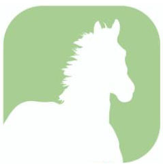 caballo comida